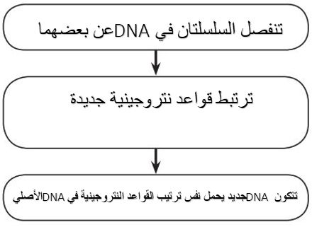 خريطة مفاهيمية